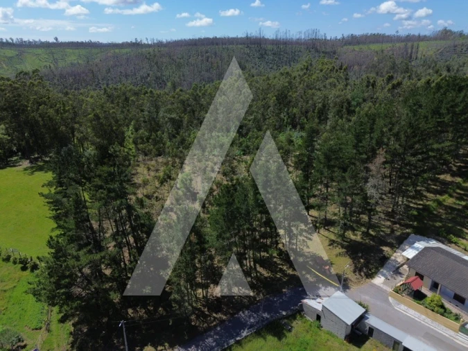 Terreno para Venda em Macinhata do Vouga Foto 7