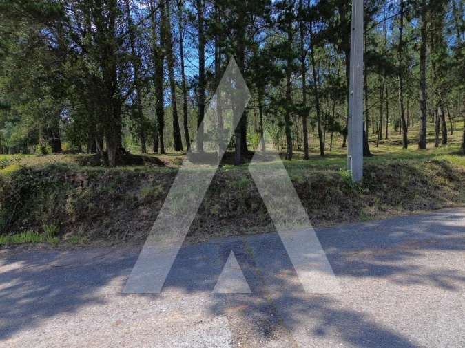 Terreno para Venda em Macinhata do Vouga Foto 10