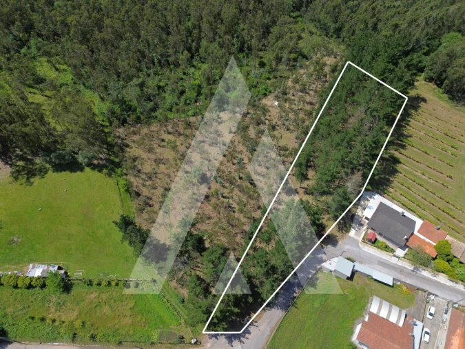 Terreno para Venda em Macinhata do Vouga Foto 3
