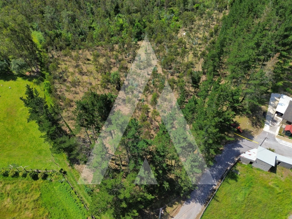 Terreno para Venda em Macinhata do Vouga Foto 5