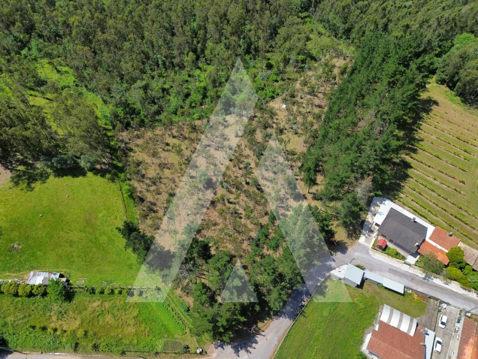 Terreno para Venda em Macinhata do Vouga Foto 11