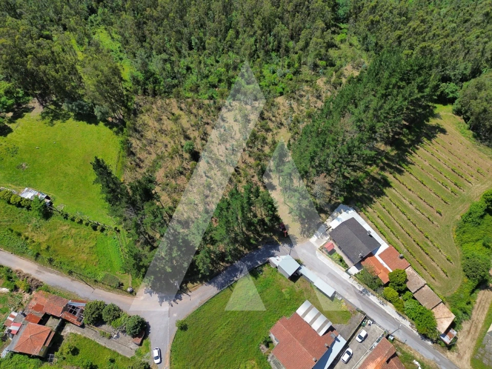 Terreno para Venda em Macinhata do Vouga Foto 6