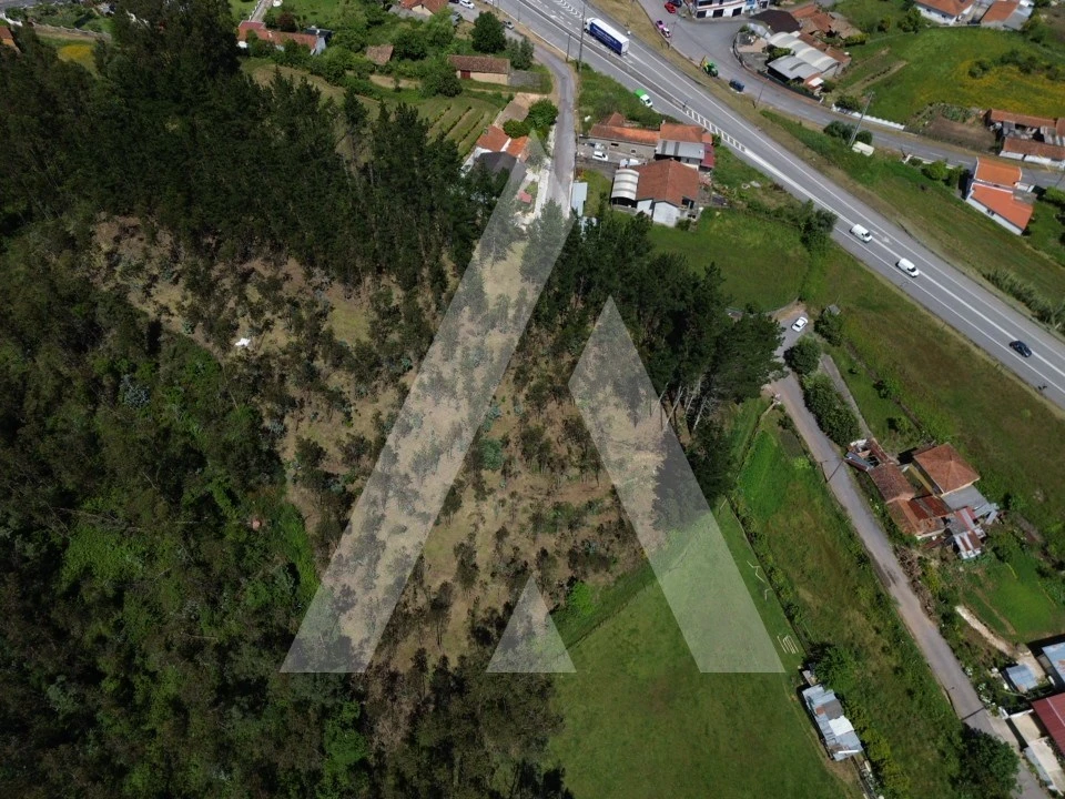 Terreno para Venda em Macinhata do Vouga Foto 7