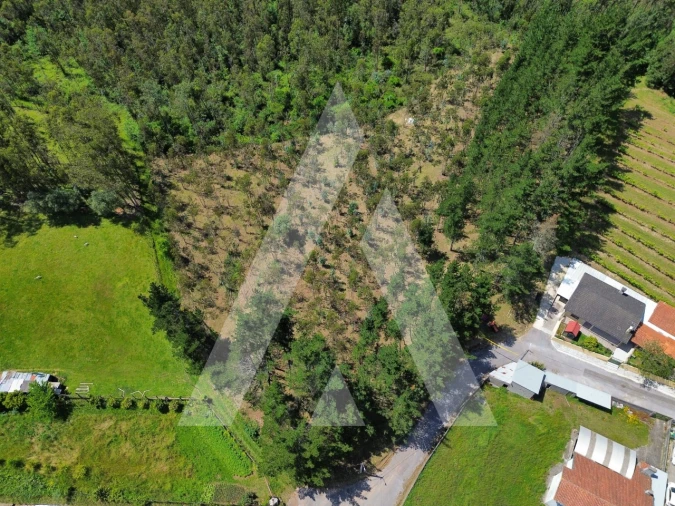 Terreno para Venda em Macinhata do Vouga Foto 3