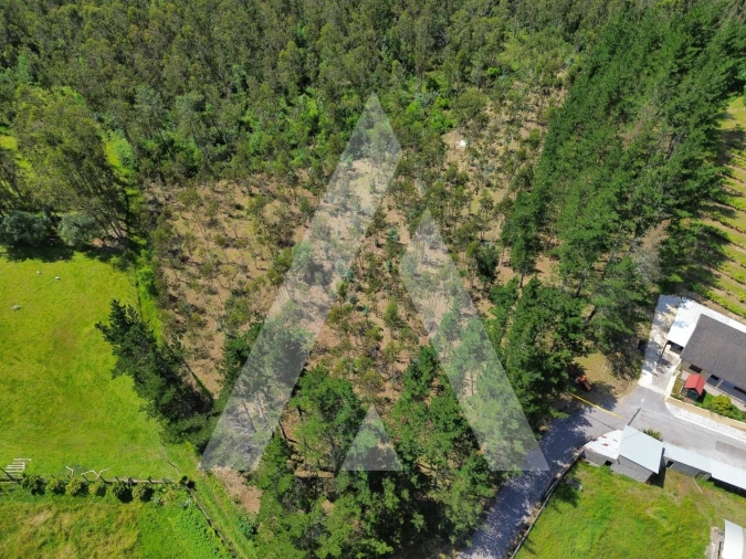Terreno para Venda em Macinhata do Vouga Foto 9