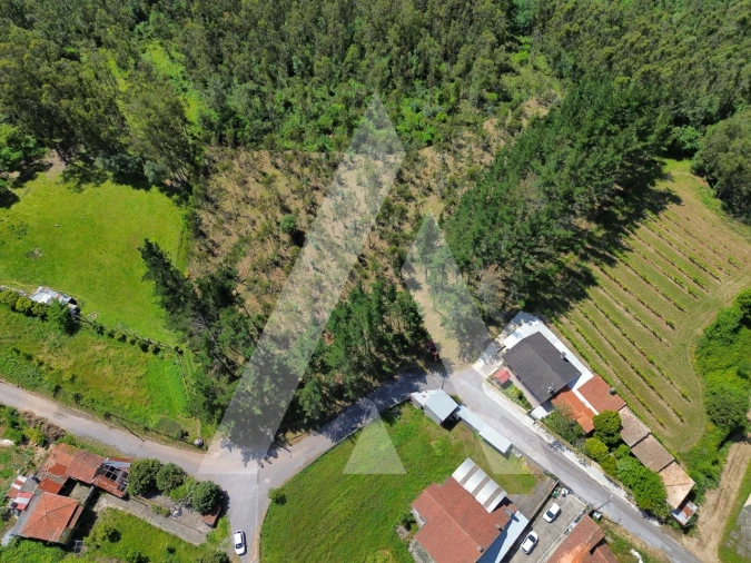 Terreno para Venda em Macinhata do Vouga Foto 6