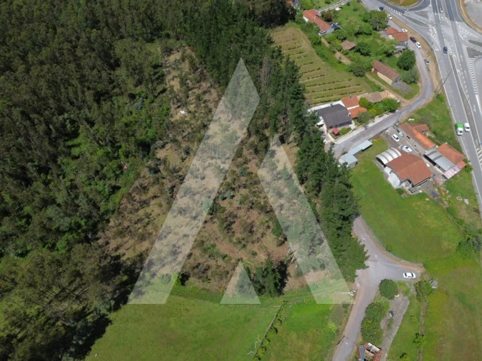 Terreno para Venda em Macinhata do Vouga Foto 12