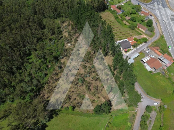 Terreno para Venda em Macinhata do Vouga Foto 4