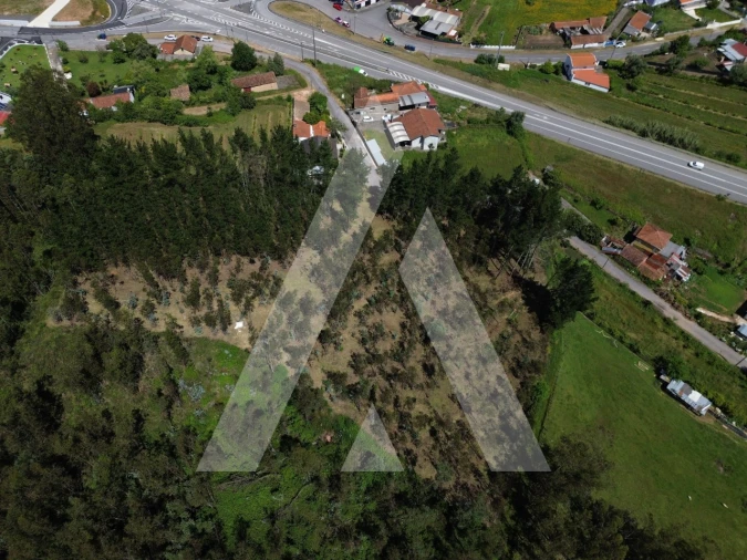 Terreno para Venda em Macinhata do Vouga Foto 1