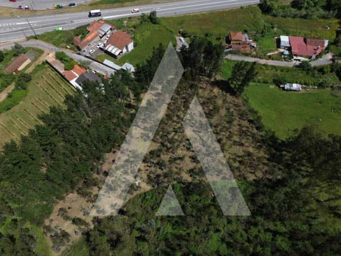 Terreno para Venda em Macinhata do Vouga Foto 8