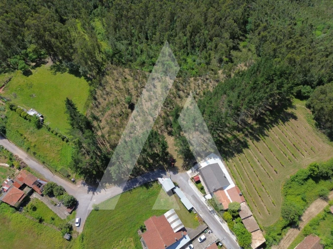 Terreno para Venda em Macinhata do Vouga Foto 15