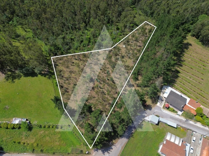 Terreno para Venda em Macinhata do Vouga Foto 2