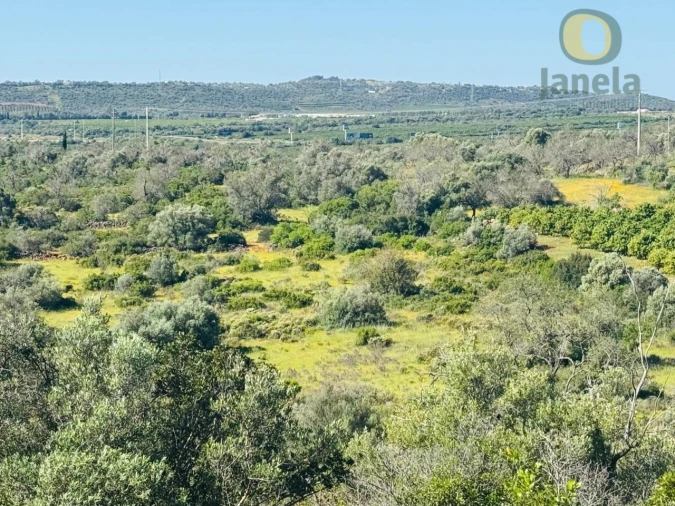 Terreno Agricola ou Rústico para Venda em Paderne Foto 5