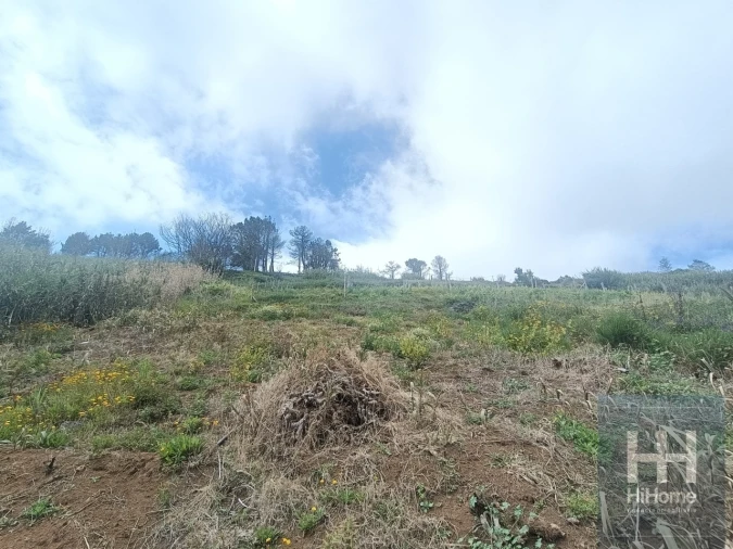 Armazém para Venda em Fajã da Ovelha Foto 22