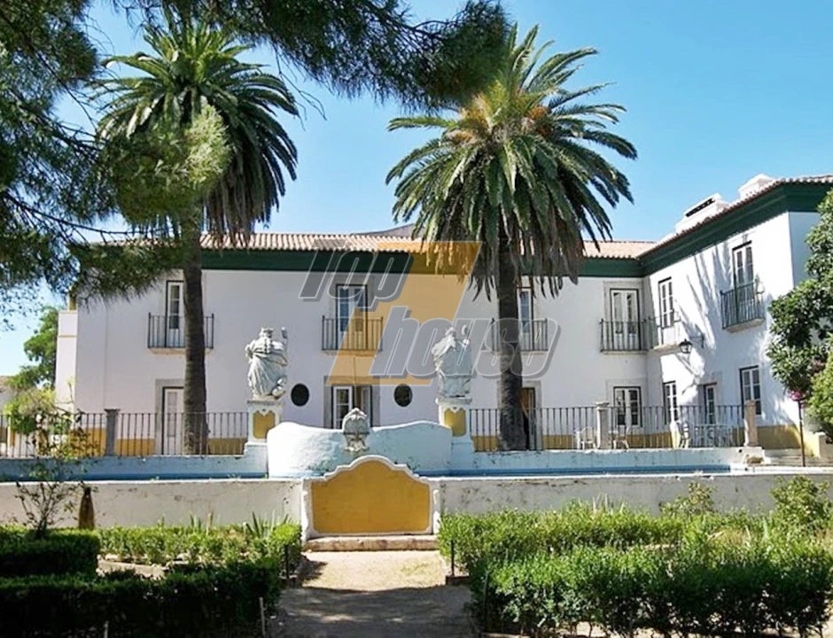 Quinta T29 para Venda em São Vicente e Ventosa Foto 1