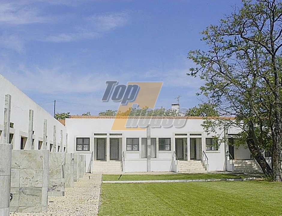 Quinta T29 para Venda em São Vicente e Ventosa Foto 9