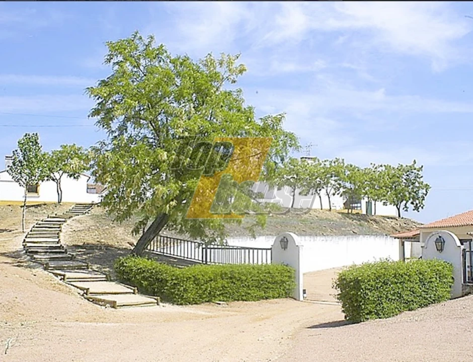 Quinta T29 para Venda em São Vicente e Ventosa Foto 11