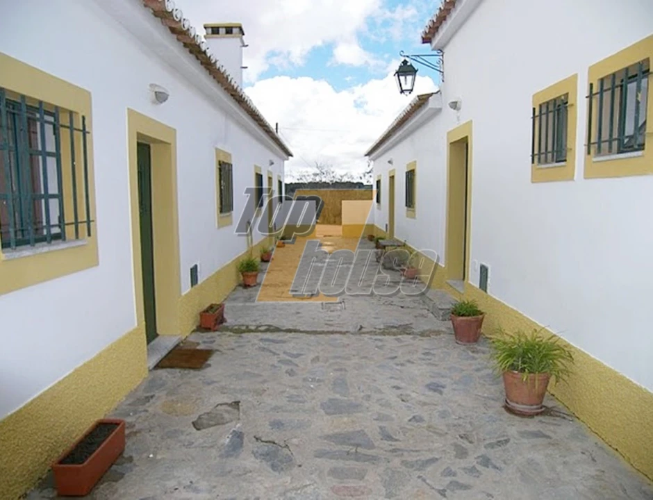 Quinta T29 para Venda em São Vicente e Ventosa Foto 17