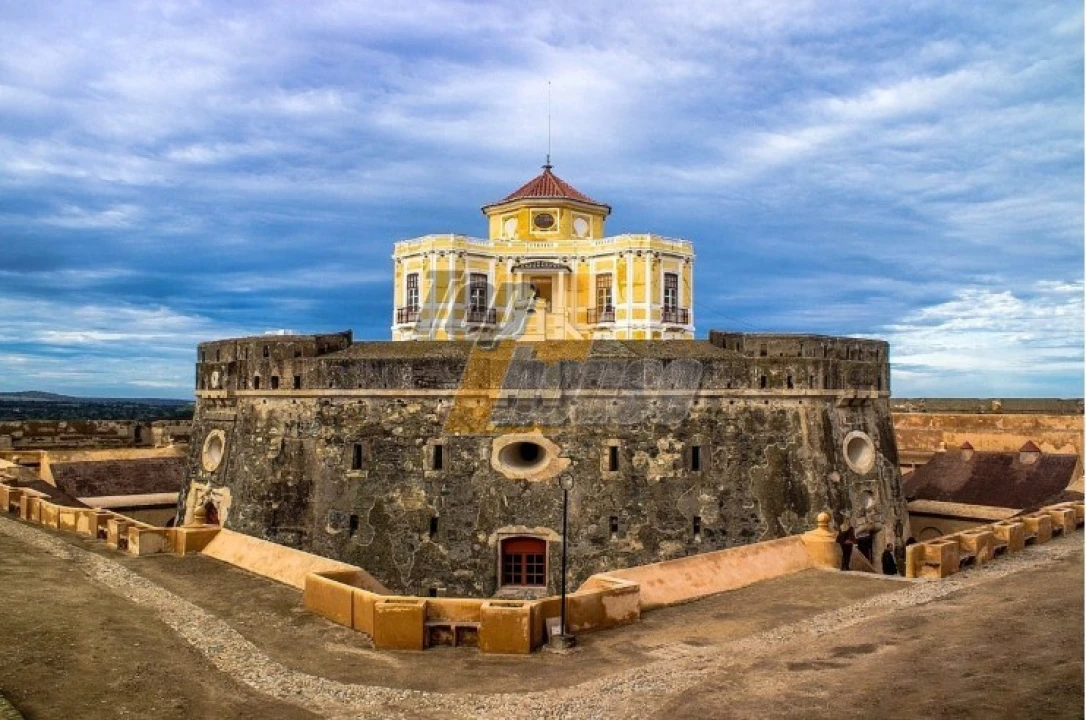 Quinta T29 para Venda em São Vicente e Ventosa Foto 44