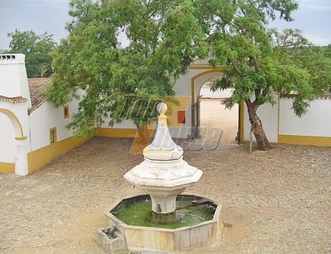 Quinta T29 para Venda em São Vicente e Ventosa Foto 3