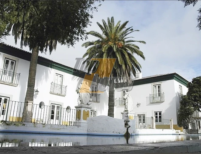 Quinta T29 para Venda em São Vicente e Ventosa Foto 7