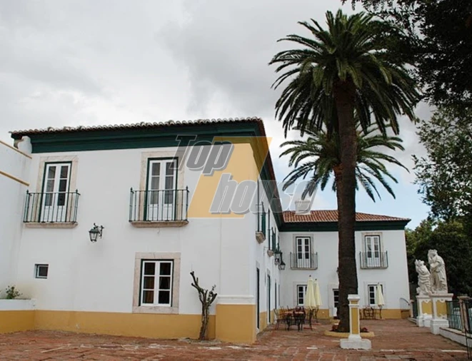 Quinta T29 para Venda em São Vicente e Ventosa Foto 18