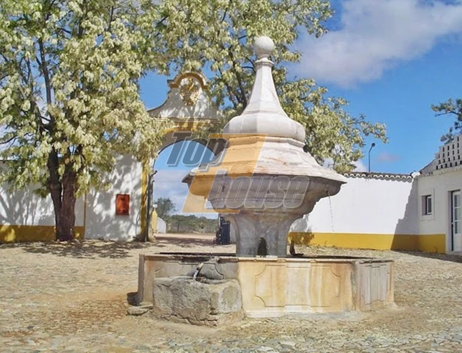 Quinta T29 para Venda em São Vicente e Ventosa Foto 20