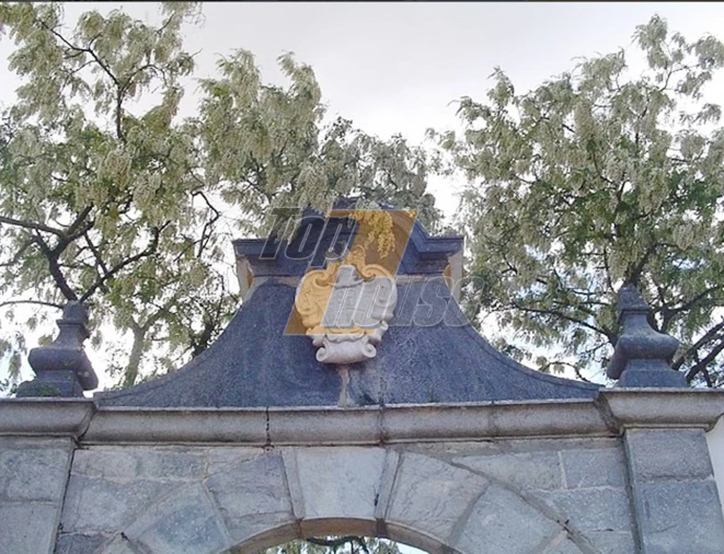 Quinta T29 para Venda em São Vicente e Ventosa Foto 22