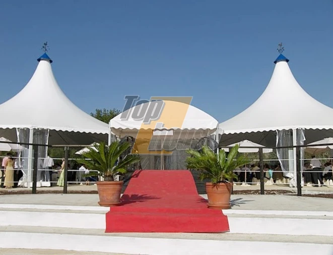 Quinta T29 para Venda em São Vicente e Ventosa Foto 31