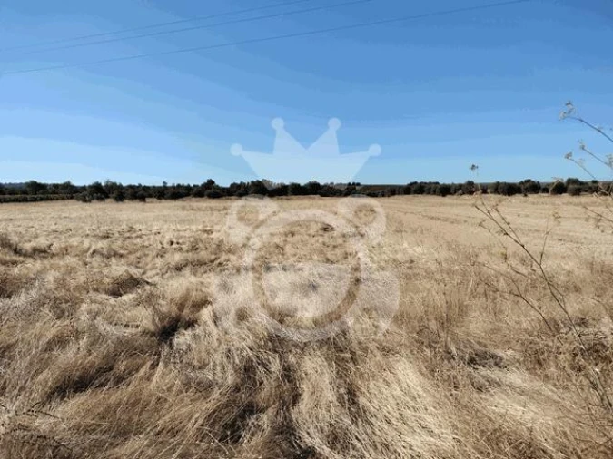 Terreno para Venda em Montoito Foto 2