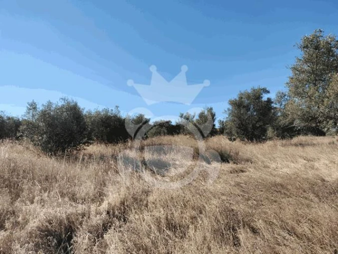 Terreno para Venda em Montoito Foto 5