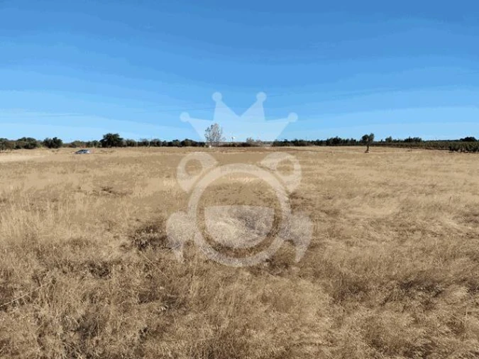 Terreno para Venda em Montoito Foto 1