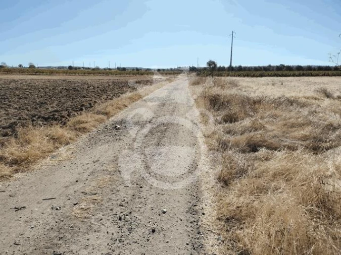 Terreno para Venda em Montoito Foto 3