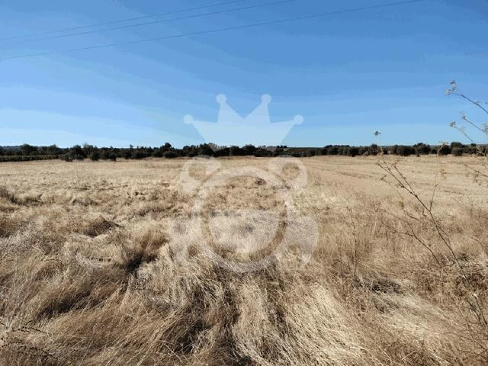 Terreno para Venda em Montoito Foto 2