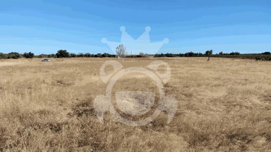 Terreno para Venda em Montoito