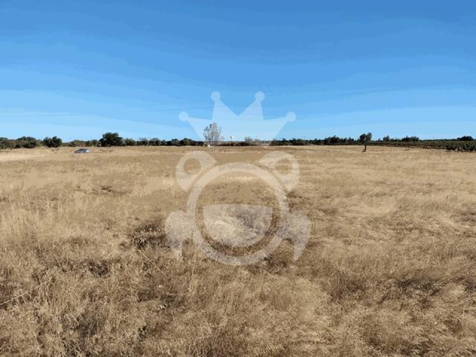 Terreno para Venda em Montoito Foto 1