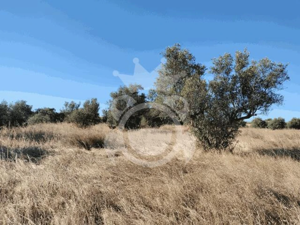 Terreno para Venda em Montoito Foto 6
