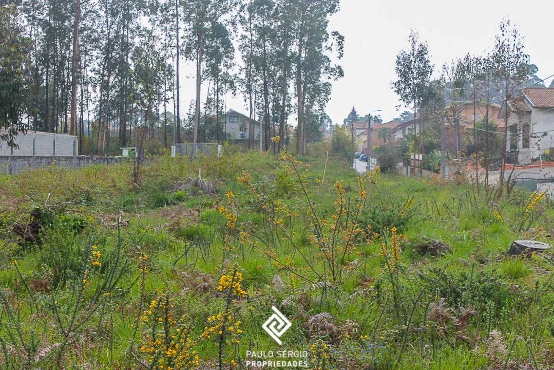 Terreno para Venda em Argoncilhe Foto 14