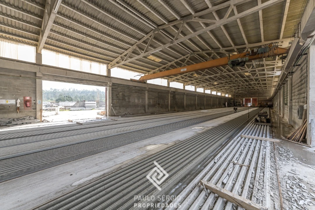 Negócio para Venda em São Pedro de Tomar Foto 15