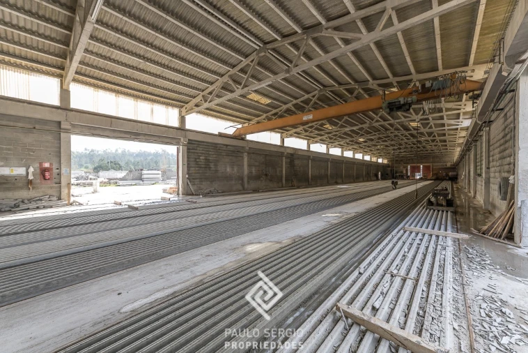 Negócio para Venda em São Pedro de Tomar Foto 15