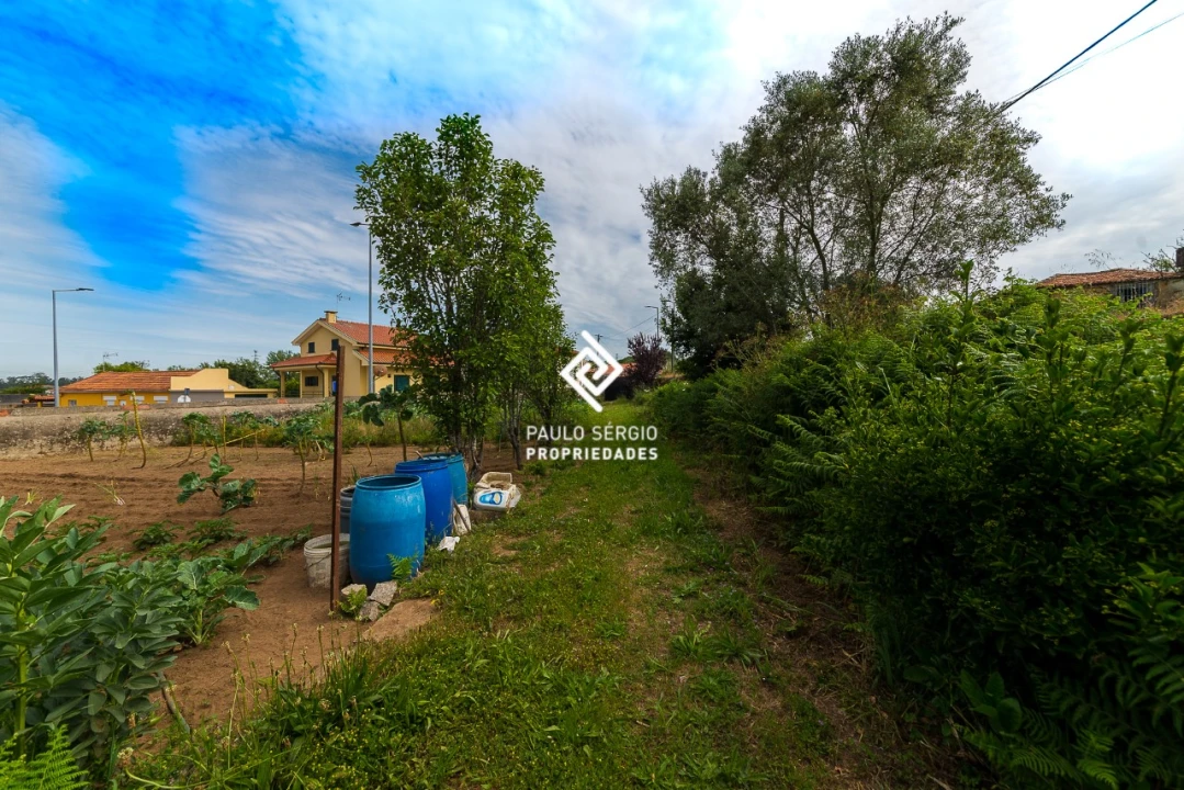 Quinta T9 para Venda em Grijó e Sermonde Foto 17