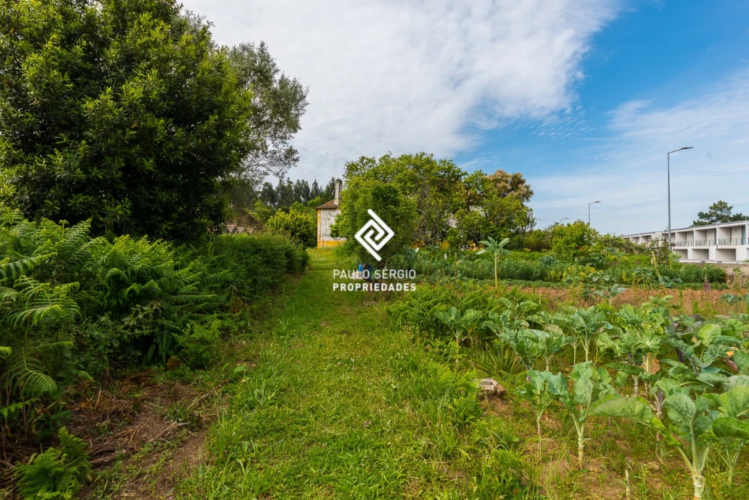 Quinta T9 para Venda em Grijó e Sermonde Foto 10