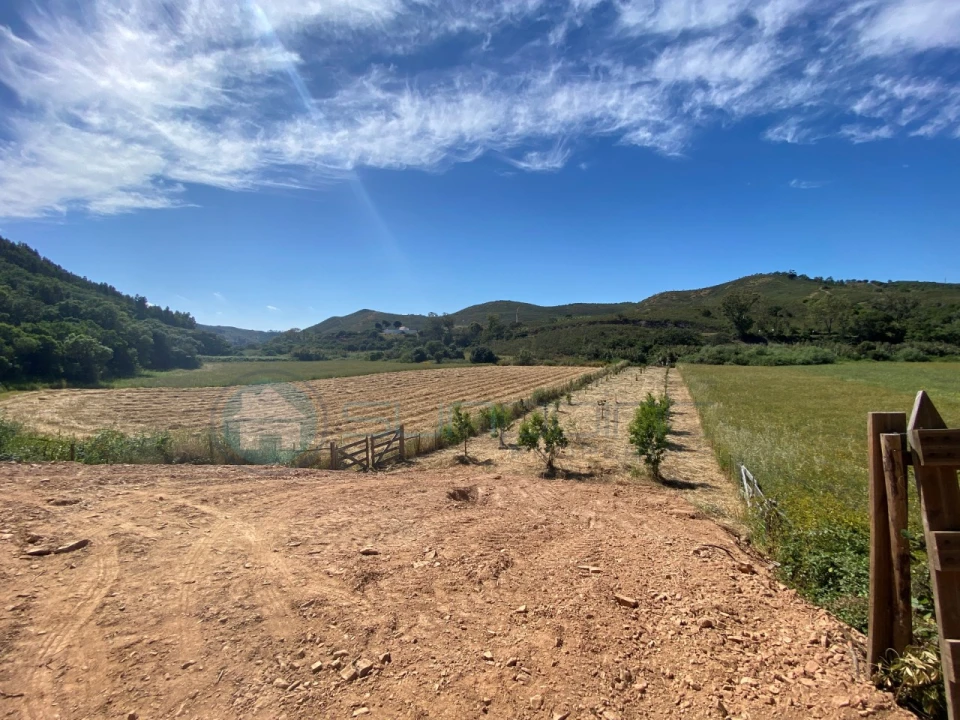 Terreno Agricola ou Rústico para Venda em Bordeira Foto 5