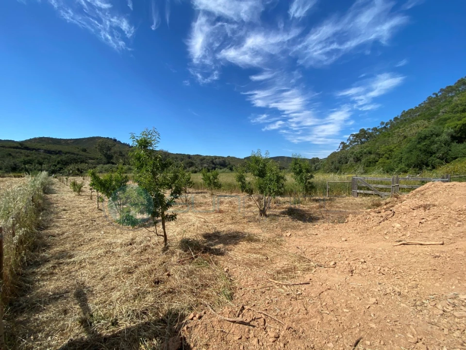Terreno Agricola ou Rústico para Venda em Bordeira Foto 8