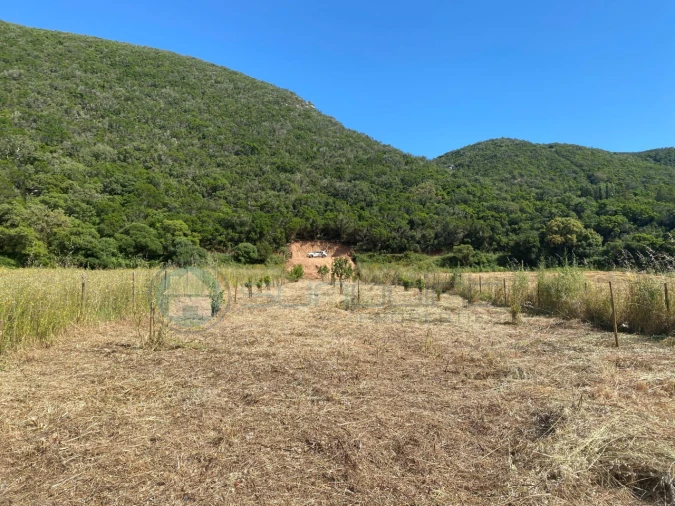 Terreno Agricola ou Rústico para Venda em Bordeira Foto 6
