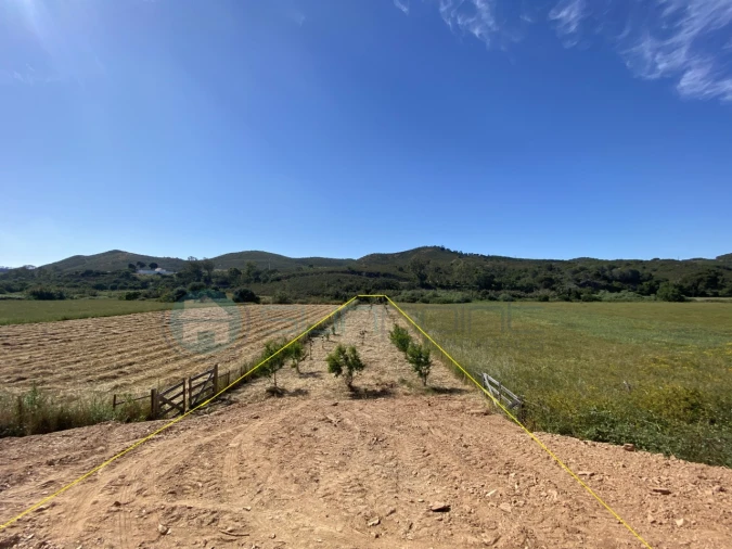 Terreno Agricola ou Rústico para Venda em Bordeira Foto 7