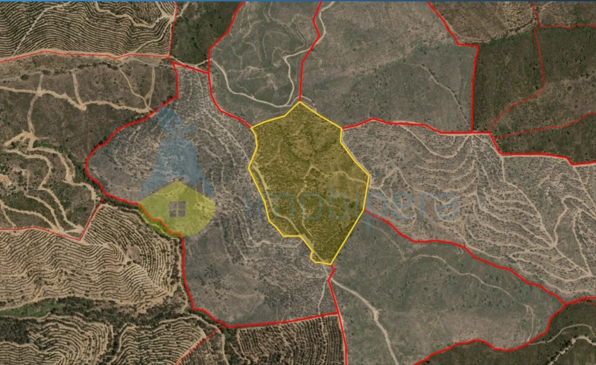 Terreno Agricola ou Rústico para Venda em Alferce Foto 3