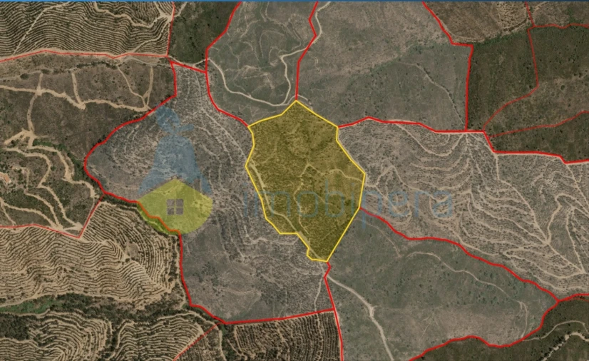 Terreno Agricola ou Rústico para Venda em Alferce Foto 3