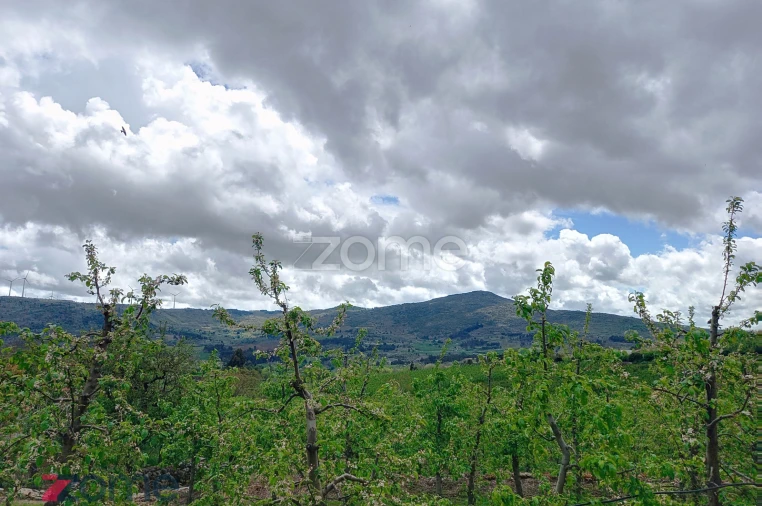 Moradia T3 para Venda em Paredes da Beira Foto 18