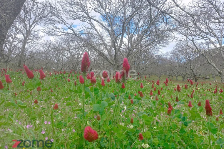 Moradia T3 para Venda em Paredes da Beira Foto 19